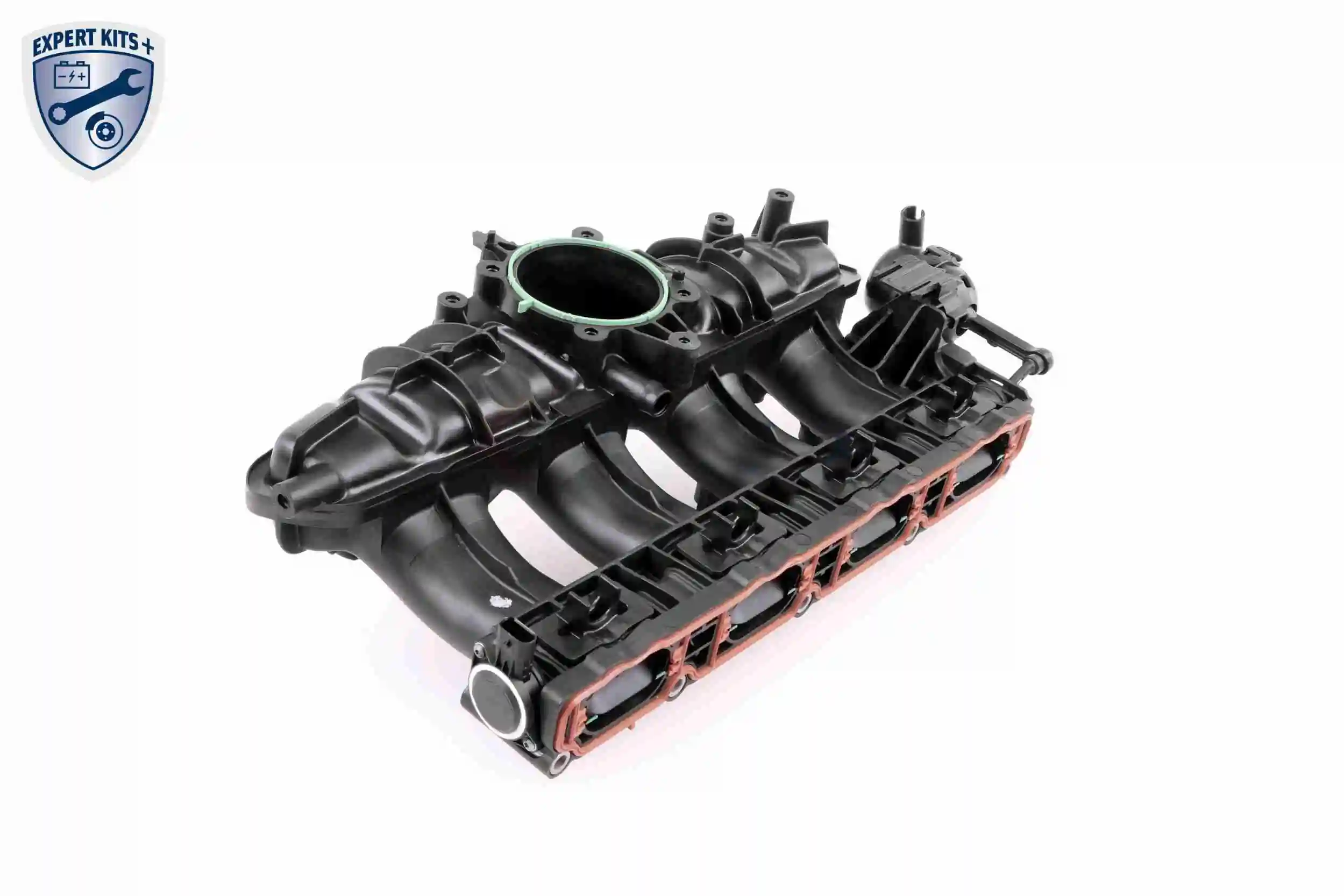 Купити V103954 VEMO/Vaico Впускний колектор