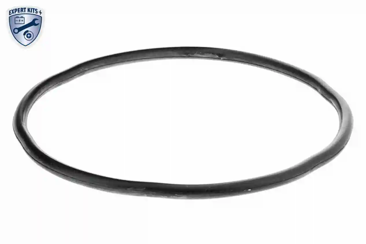 Корпус паливного фільтра ADBP230075 Blue Print
