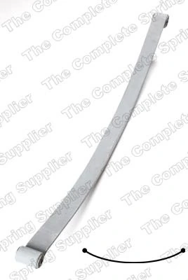 Ресори додаткові Raiso SP332006 ціна, від 56.55 USD