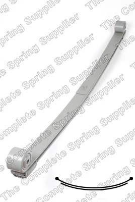 Купити SP502463 Raiso Ресори задні (пружини задньої підвіски)