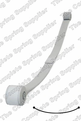 Купити BK215560EC Ford Ресори задні (пружини задньої підвіски)