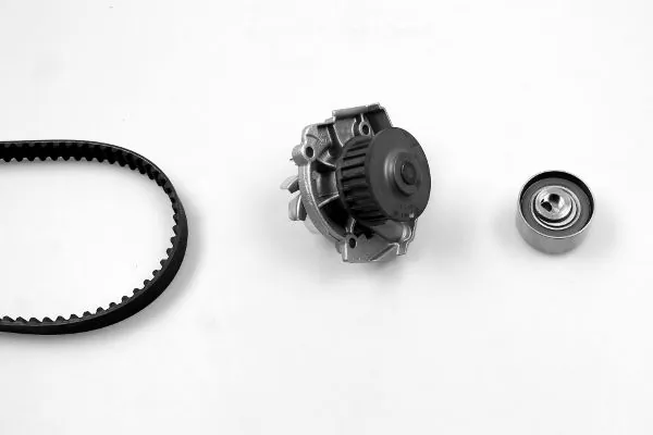 Комплект ГРМ Fiat/Alfa/Lancia 71771599 ціна, від 71.76 USD