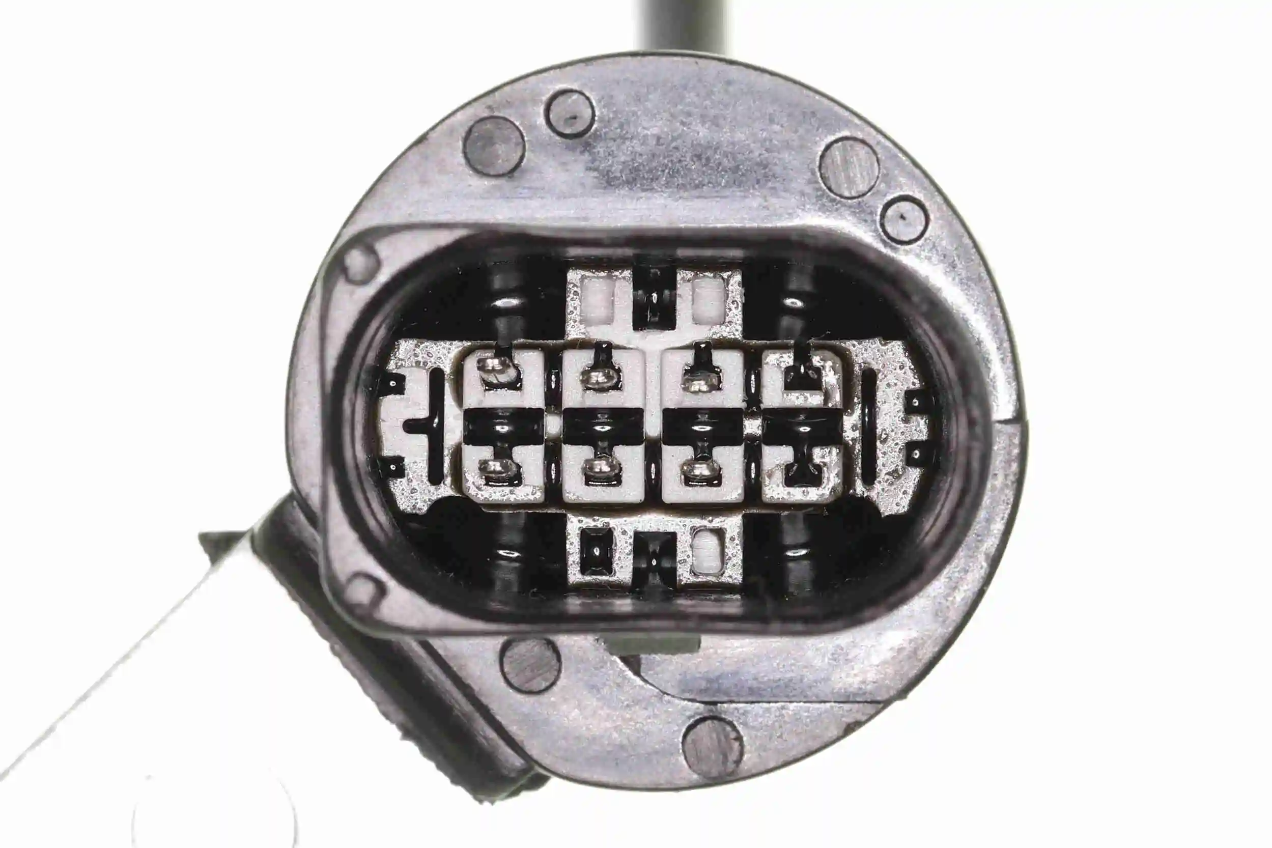 V10771054 Vemo Джгут дротів АКПП