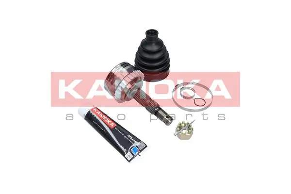 6036 Kamoka Граната зовнішня