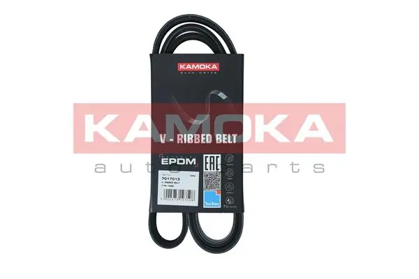 Ремінь генератора 117207775R Renault (RVI)