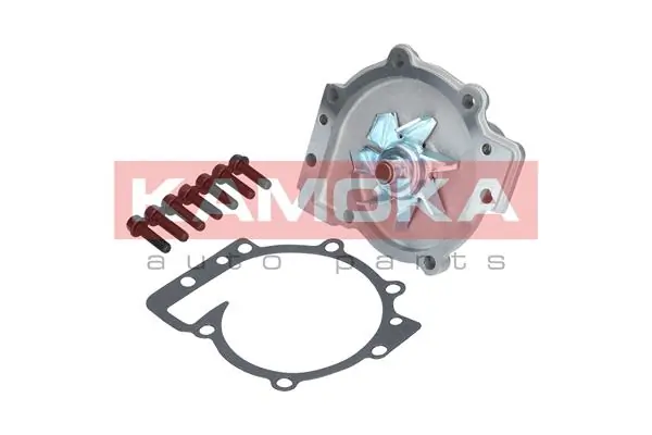 T0137 Kamoka Насос охолодження