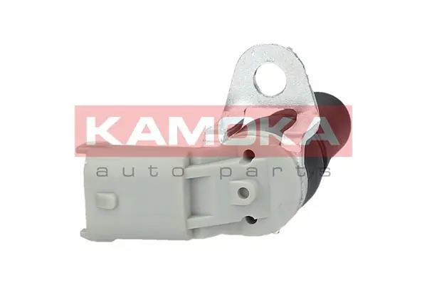 109040 Kamoka ДПКВ