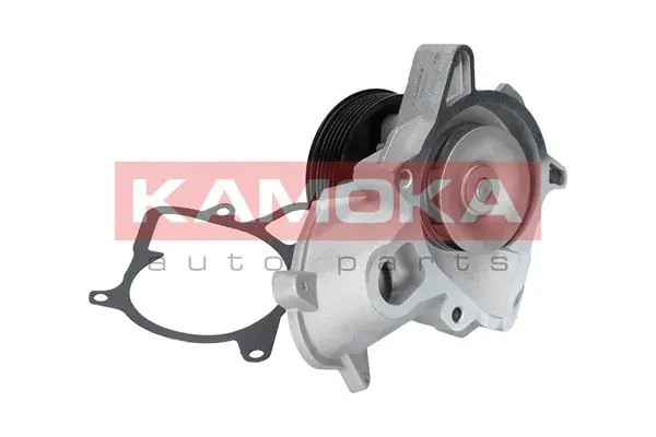 T0052 Kamoka Насос охолодження