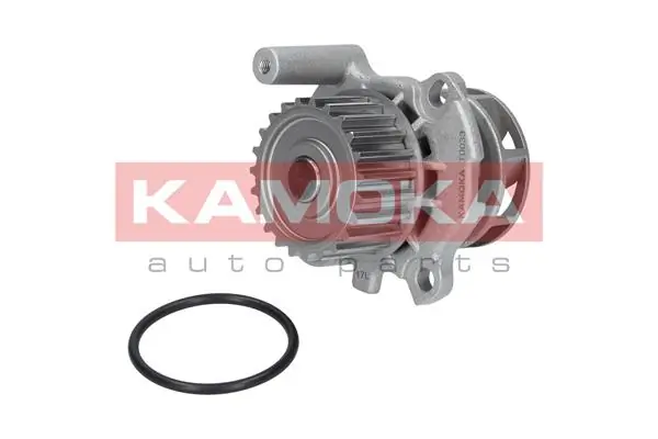 T0033 Kamoka Насос охолодження