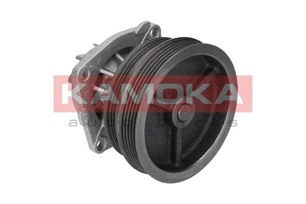 Купити T0112 Kamoka Насос охолоджуючої рідини