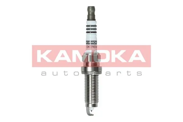 Свічки автомобільні Renault (RVI) 224011KT1B ціна, від 15.07 USD