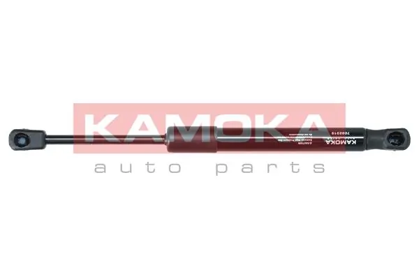 Амортизатор двері задньої Mazda 6 седан (GG) (2002 - 2008) ціна, від 10.17 USD