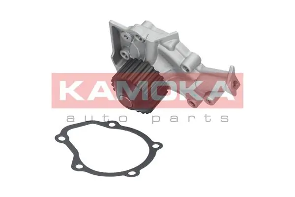 T0065 Kamoka Насос охолодження