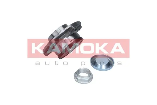 5500145 Kamoka Підшипник ступиці задньої