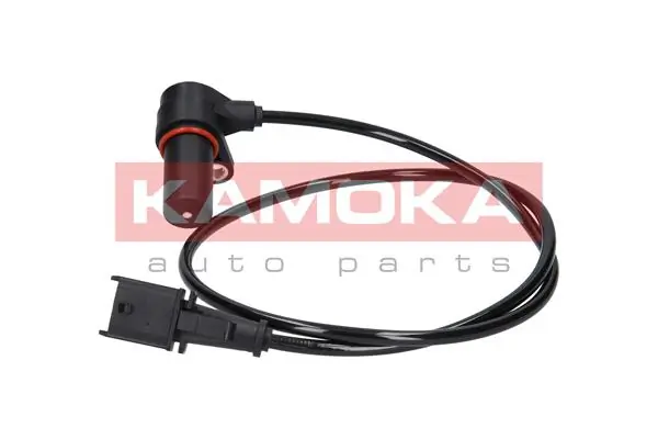 109039 Kamoka ДПКВ