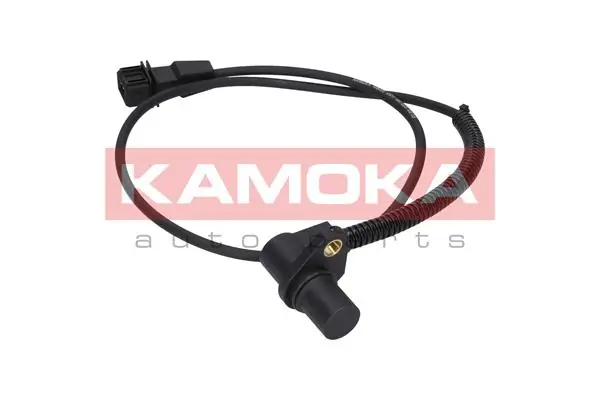109002 Kamoka ДПКВ