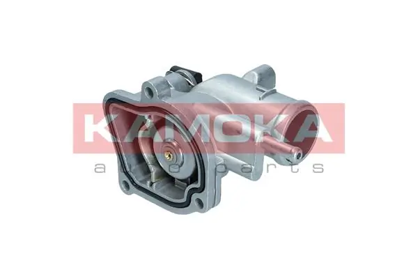 Купити TM1366 Hepu Корпус термостата