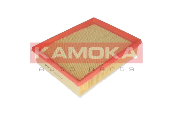 Купити RF1124FWB Goodrem Автомобільний фільтр повітря