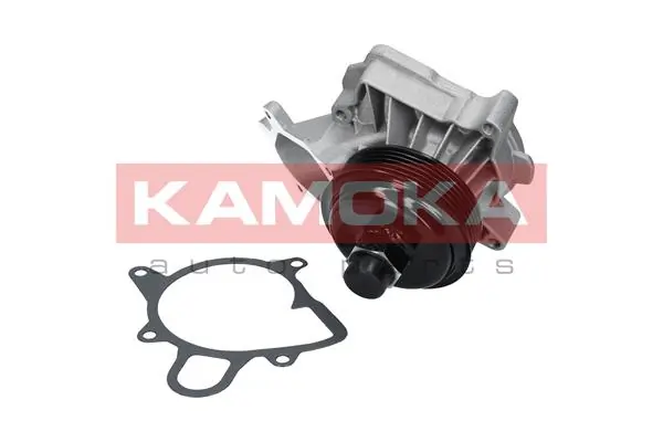 T0060 Kamoka Насос охолодження