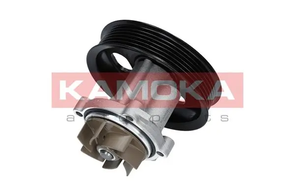 T0014 Kamoka Насос охолодження