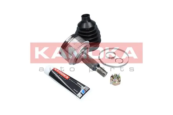 6011 Kamoka Граната зовнішня