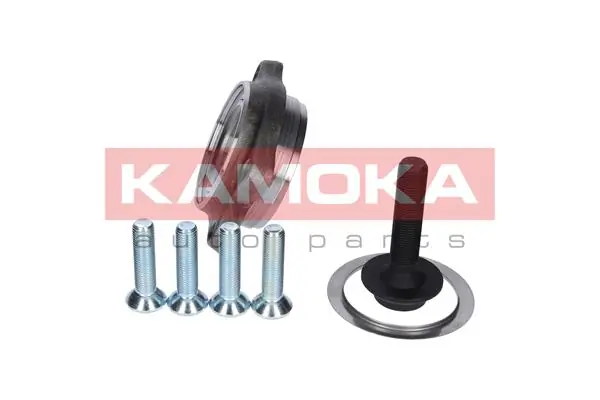 5500130 Kamoka Підшипник ступиці пер/зад