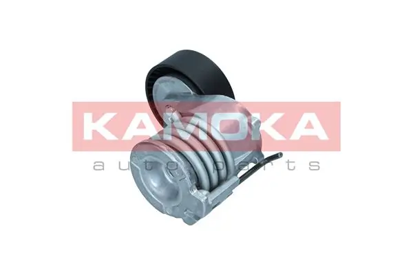 Купити R0579 Kamoka 