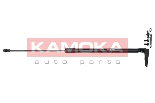 Купити Амортизатор багажника Subaru Outback IV B14, BR