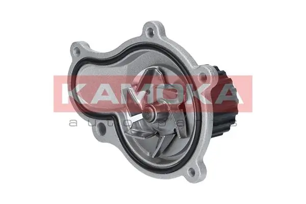 T0076 Kamoka Насос охолодження