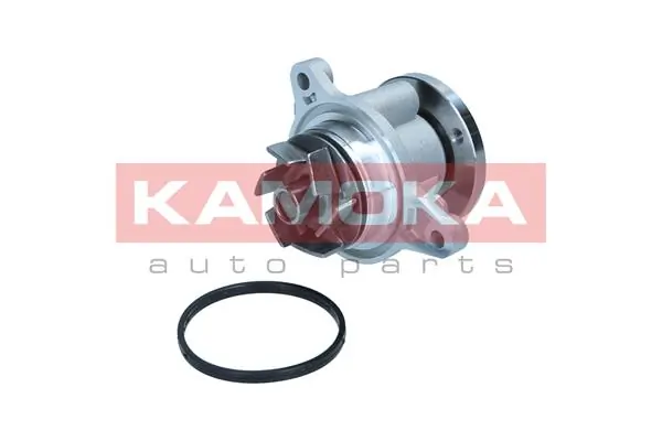 T0310 Kamoka Насос охолодження