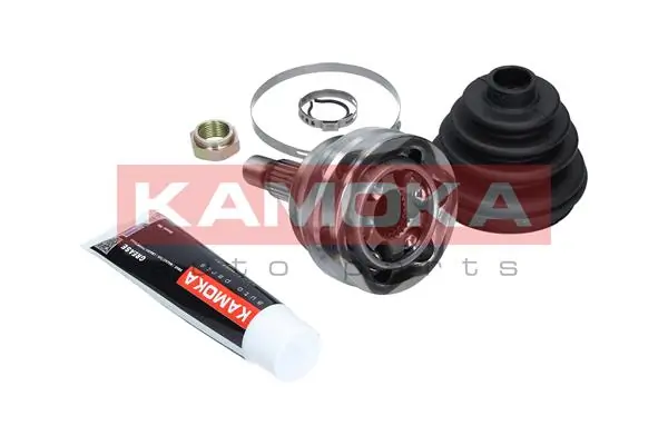 Купити ШРУС зовнішній передній Renault 21  L48