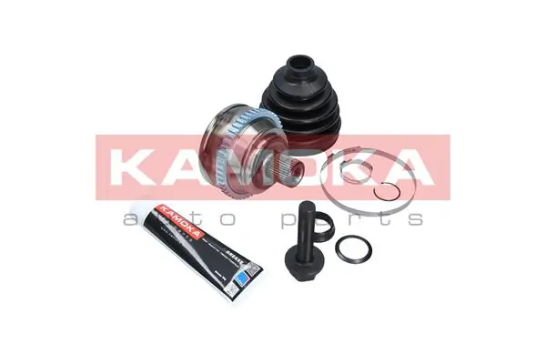 6740 Kamoka Граната зовнішня