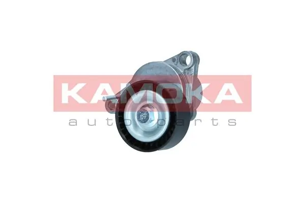 Натяжний ролик CFR11100 Caffaro