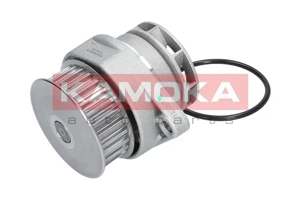 Купити T0249 Kamoka Помпа водяна (насос) охолодження, в зборі з корпусом