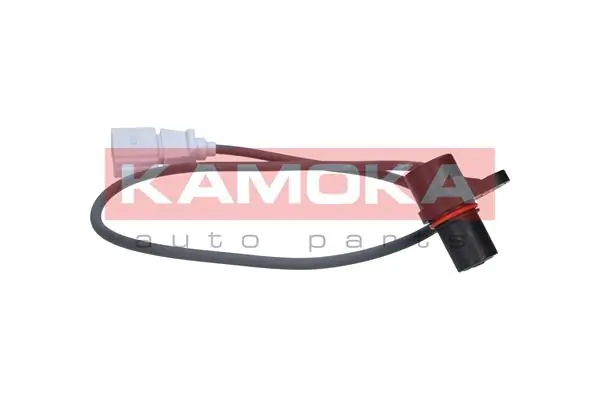 109005 Kamoka ДПКВ