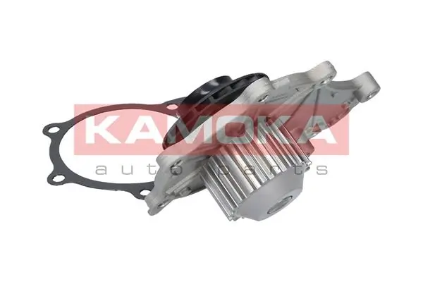 T0081 Kamoka Насос охолодження