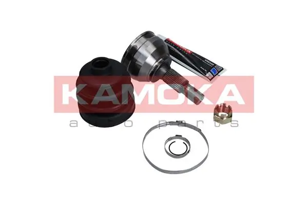 6005 Kamoka Граната зовнішня