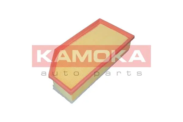 Купити Повітряний фільтр Citroen C5  III  RW