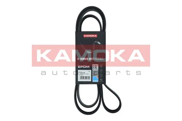 Купити Ремінь генератора Mitsubishi Grandis  NAW