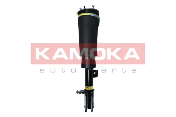 LR032560 Hotbray Амортизатор передньої підвіски