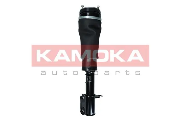 Амортизатор передній, правий Hotbray LR032560 ціна, від 456.61 USD
