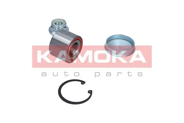 5600011 Kamoka Підшипник ступиці задньої