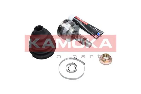 6028 Kamoka 