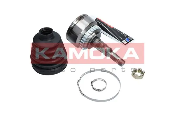 6144 Kamoka Граната зовнішня