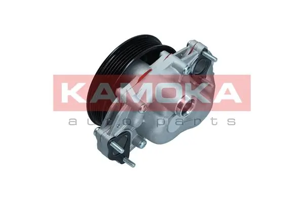 T0291 Kamoka Насос охолодження