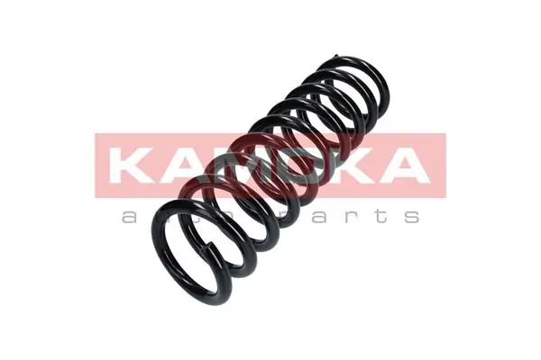 Купити RP1201 Goodrem Задні пружини