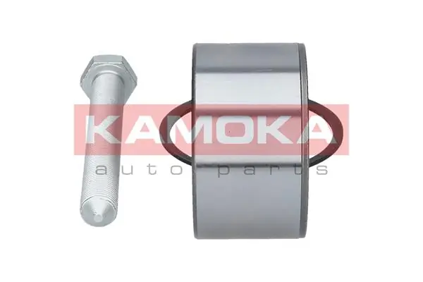 Купити 5600093 Kamoka Підшипник задньої ступиці
