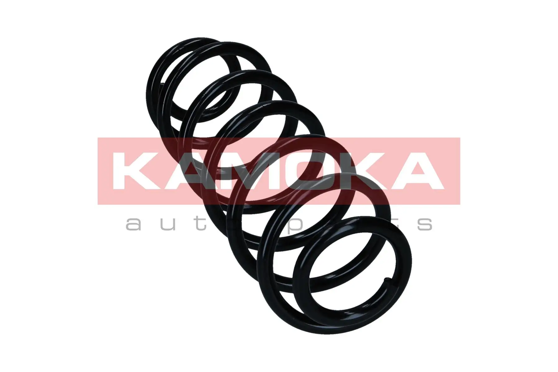 Купити Задні пружини Volkswagen Bora  1J2