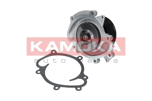 T0073 Kamoka Насос охолодження