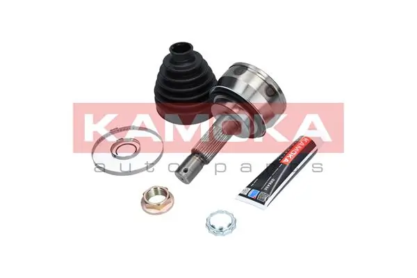 6031 Kamoka Граната зовнішня
